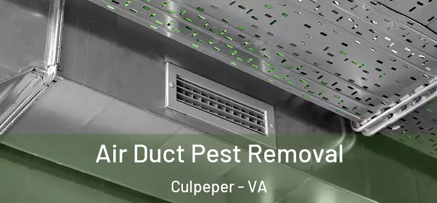  Air Duct Pest Removal Culpeper - VA