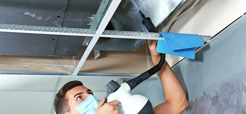 Our Air Duct Rodent Removal Services in Culpeper, VA