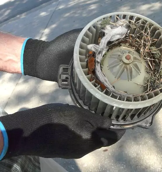 About Air Duct Rat Removal in Culpeper, VA