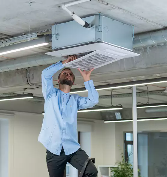Advanced Rodent Droppings In Vents in Culpeper, VA