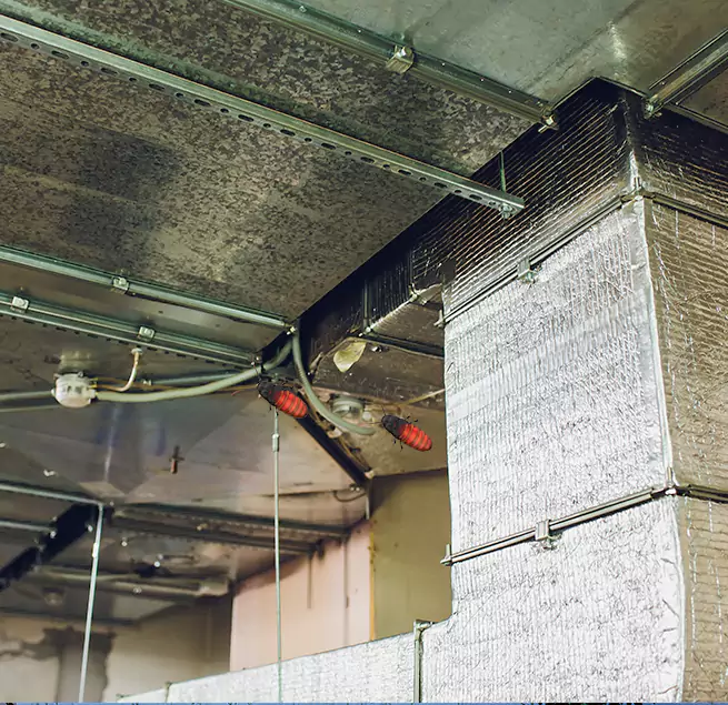 Why Homeowners & Businesses Trust Us in Culpeper, VA?