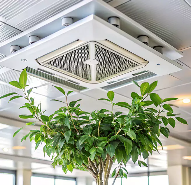 Why Homeowners & Businesses Trust Us in Culpeper, VA?